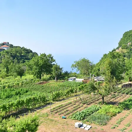 La Terrazza Sugli Dei *