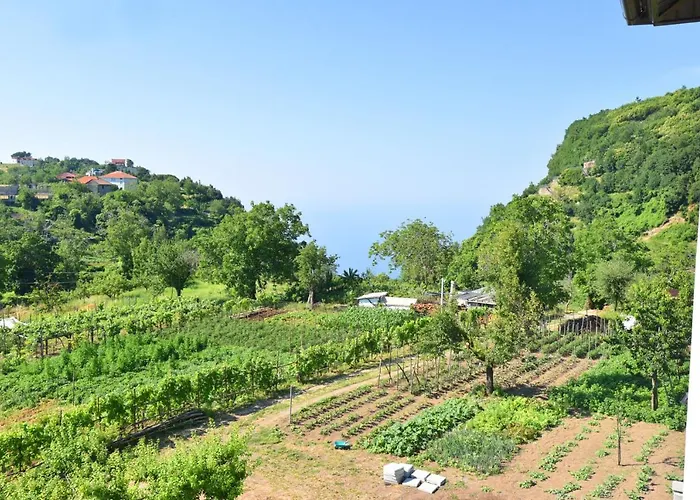 La Terrazza Sugli Dei *